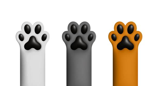istock 3D cat paws, white, gray, and orange, black pads, isolated on white background. 2205226364