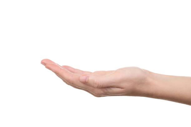 istock Female hand isolated on white background 2205228281