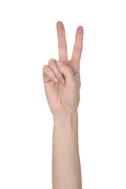 istock Female hand isolated on white background 2205228387