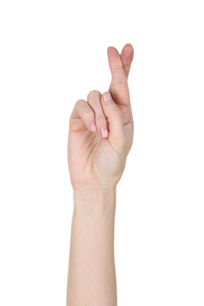 istock Female hand isolated on white background 2205229266