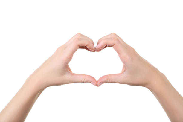 istock Female hands showing heart on white background 2205229342