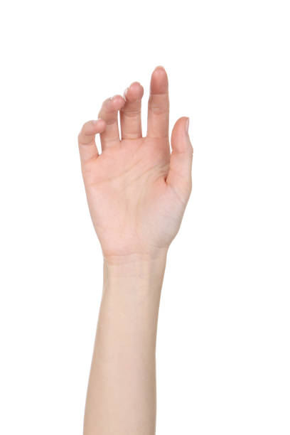 istock Female hand isolated on white background 2205229466