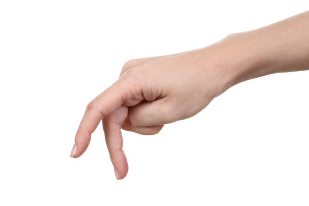 istock Female hand isolated on white background 2205229593