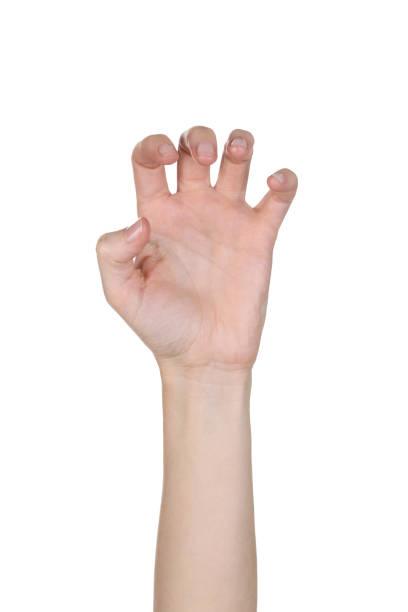 istock Female hand isolated on white background 2205229798