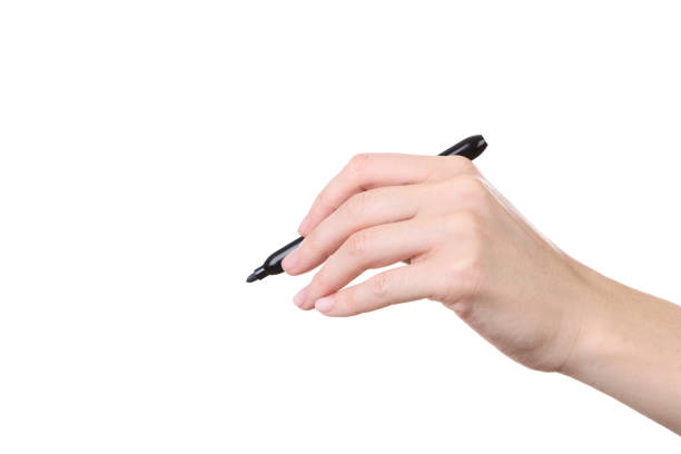 istock Female hand holding marker on white background 2205229816