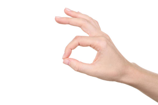istock Female hand isolated on white background 2205229875