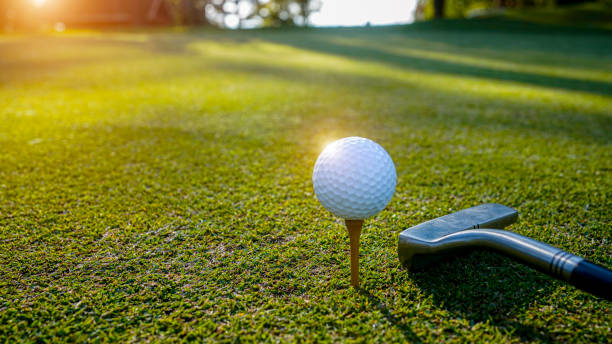 istock Top view of a golf ball with putter on green course at hole. 2205230761