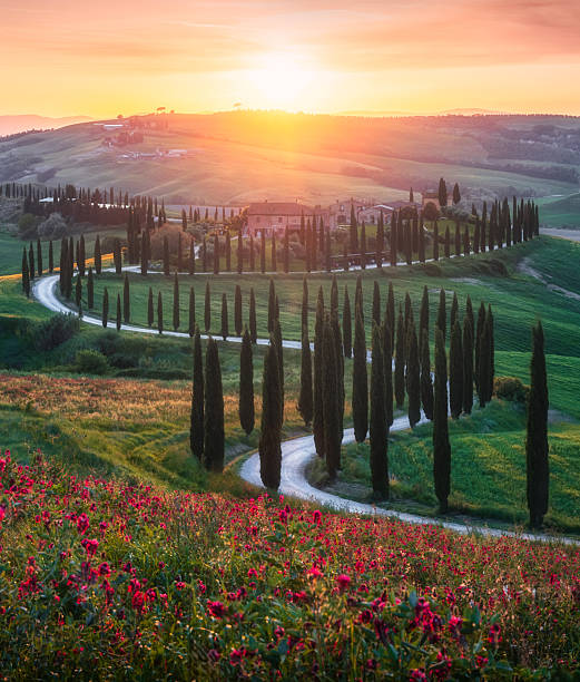 istock Sunset at Tuscany Italy 2205232134