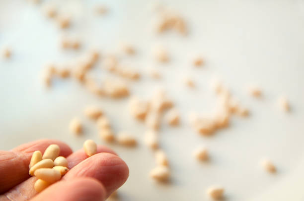 Fingers  on the left holding pine nuts, in the background pine nuts in blur on a white background, angular view.