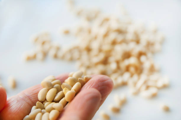 Fingers  on the left holding pine nuts, in the background pine nuts in blur on a white background, angular view.