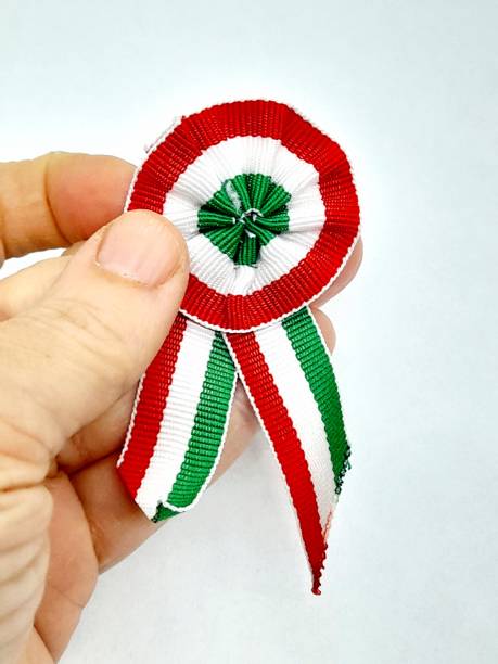 istock One hungarian cockade in hand 2205240651