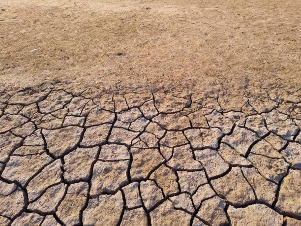 istock Cracked soil of wetland 2205246235