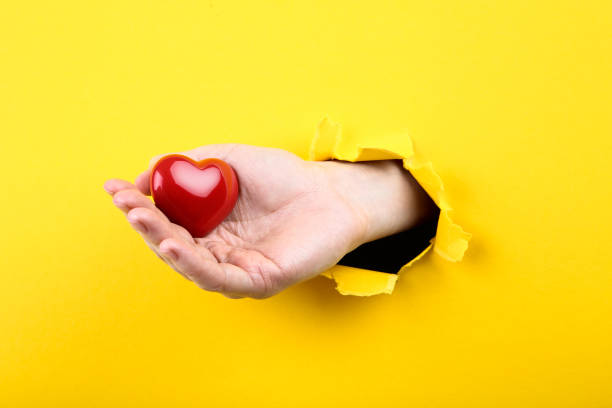 Wooden hand holding heart isolated on white background