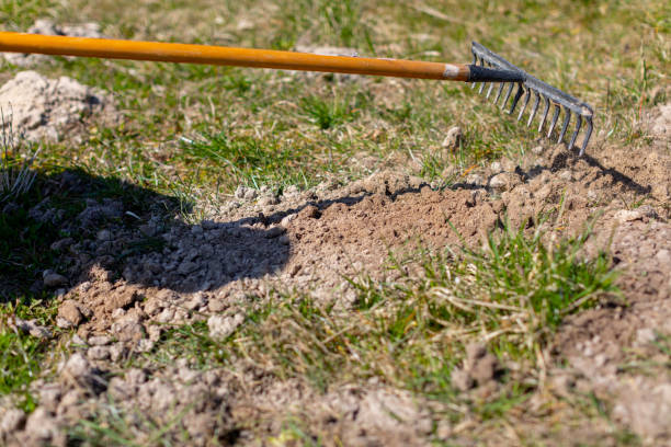 istock Gardening With a Rake Preparing Soil Effectively for the Best Planting Experience Ever 2205248262