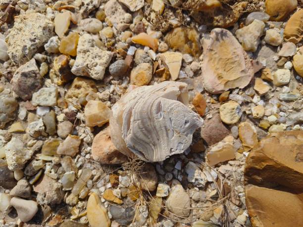 pebble stone background texture in lanscape orioentation