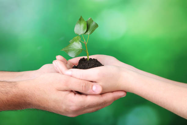 istock Hands holding young plant on green background 2205257163