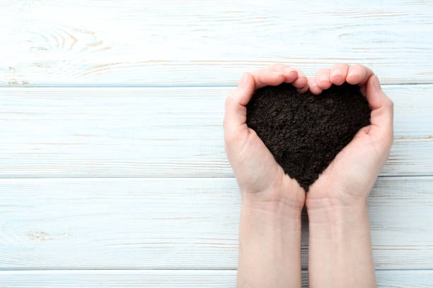 istock Female hands holding ground on wooden table 2205257265