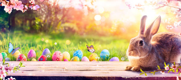 istock Bunny With Easter Eggs In Spring Meadow Grass - Decorated Eggs In Flowery Field - Abstract Defocused Scene 2205260602