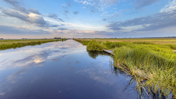 istock Dutch Agricultural Polder Landscape 2205262078