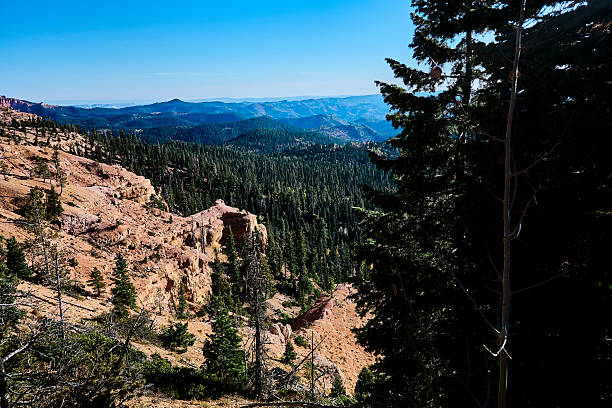 Scenic view of valley, forest and pathway, Utah
