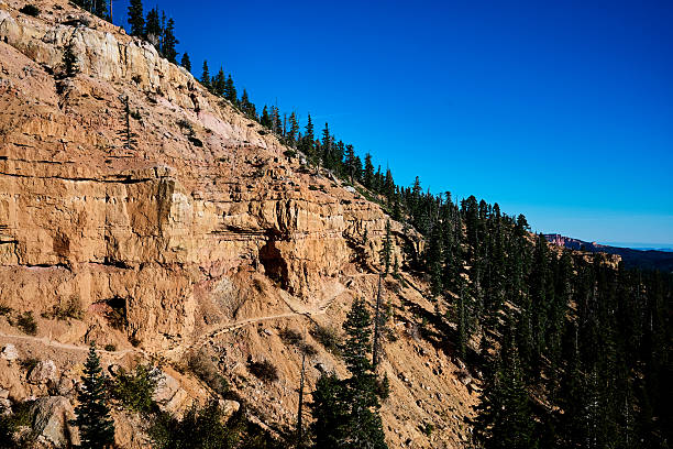 Scenic view of valley, forest and pathway, Utah
