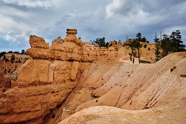 Elevated view of canyon and hoodoos at sunrise, Bryce Canyon