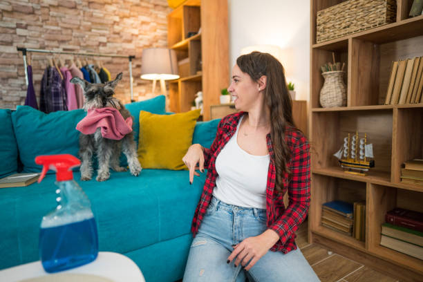 istock Playing together. A woman is at home with her dog. 2205264305