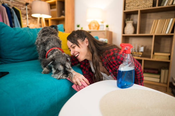 istock A woman is cleaning with her puppy 2205264391