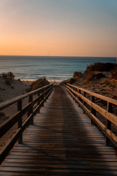 istock Boardwalk descends to beach and ocean at sunset 2205275758
