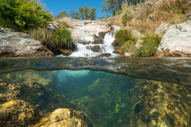 istock Cascade in a stream seen from water surface natural scene 2205275867