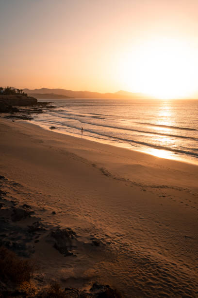 istock Distant view of young man on beach at sunset 2205276630