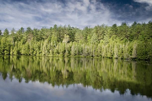 Landscape nature photography