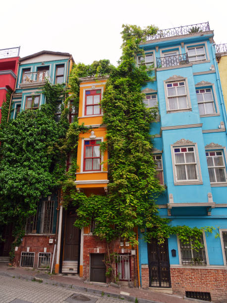 istock Colorful row houses with ivy-covered facade 2205284157