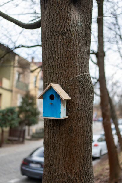 A charming wooden birdhouse nestled among tall trees in a peaceful forest. The small handcrafted shelter blends harmoniously with nature, offering a cozy refuge for birds. Sunlight filters through the leaves, casting a warm glow on the wooden structure. This image captures the essence of wildlife conservation, tranquility, and natural beauty.