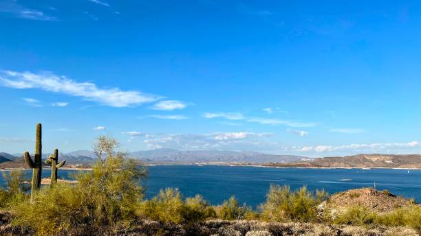istock Desert Lake View with Saguaro Cactus 2205286130