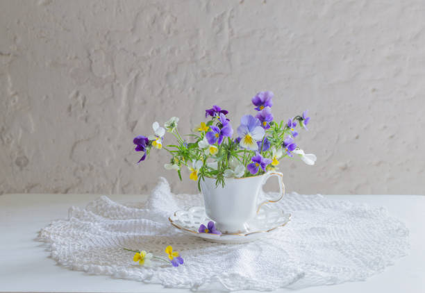 istock viola flowers in white cup on white background 2205293067