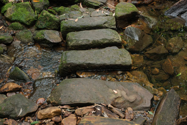 Footpath with steps on mountain in Chiang Rai province