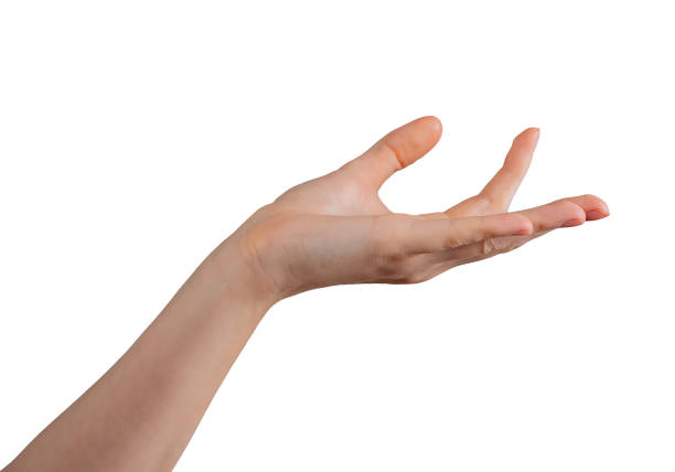 istock Female hand elegantly positioned in a presenting gesture, fingers gracefully curved as if showcasing 2205305804