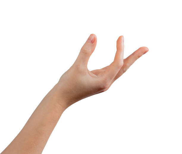 istock Female hand elegantly positioned in a presenting gesture, fingers gracefully curved with thumb 2205305813