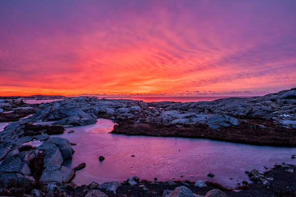 istock Purple and Pink Sunset 2205307611
