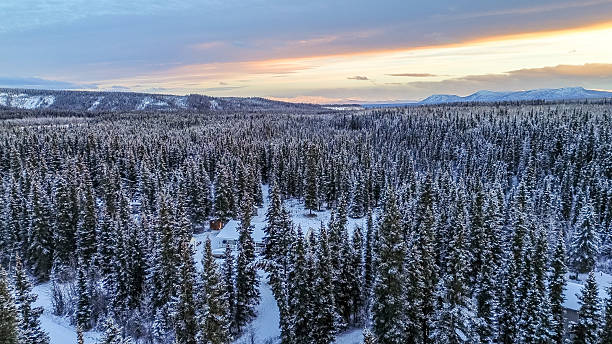 istock Winter sunrise in Alaska 2205308731