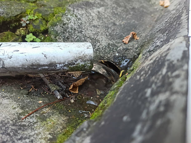 istock The white pipe releases murky water, which streams directly into the open sewer. 2205310546