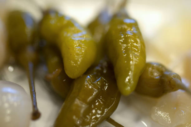 Rotten foods, damaged peppers. Mold on vegetables