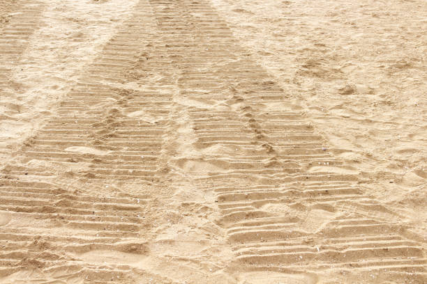 Close up car tread mark and footprints on sand beach brown background