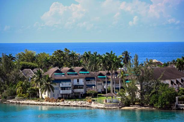 istock Tropical resort with ocean view and palm trees. 2205315215