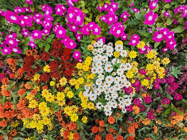 Khao Chiak Flower Garden, Phatthalung, Thailand