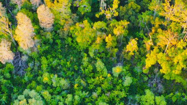 istock Beautiful Ariel Drone Photography 2205315873
