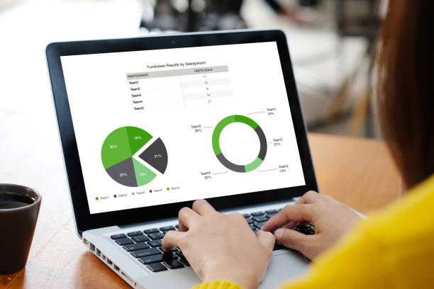 istock Analysis sale data, business plan information and business growth chart to analysis for project strategy on laptop computer at home office 2205317078