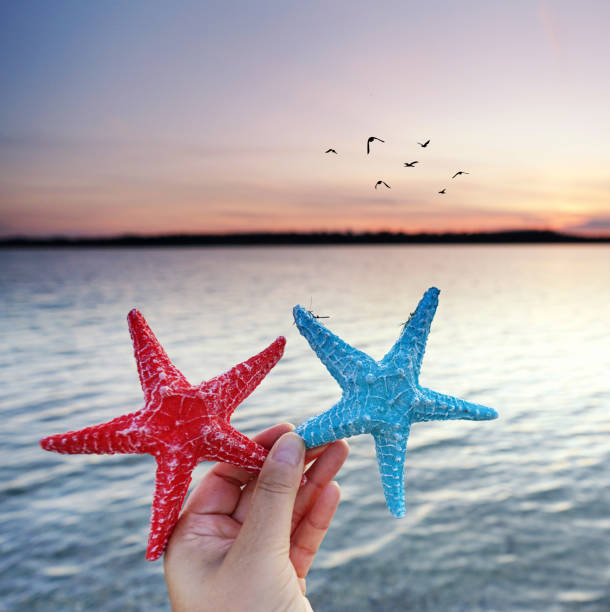 istock hand holding two beautiful starfish on the sandy beach in sunset light 2205325510