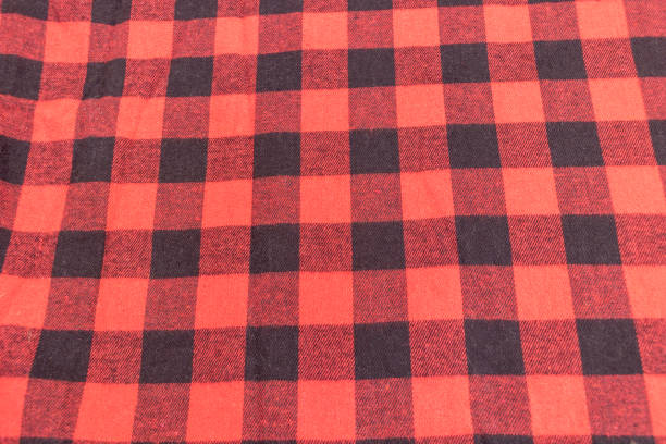 istock Red and black buffalo plaid patterned cotton fabric 2205333388